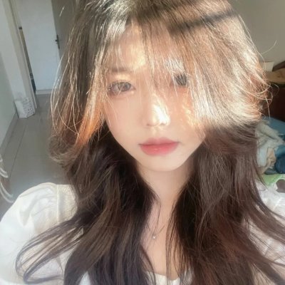 新·驯龙高手